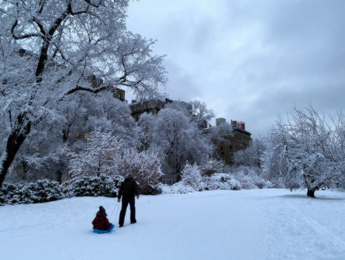 Toboggan Ride - February 7th, 2021