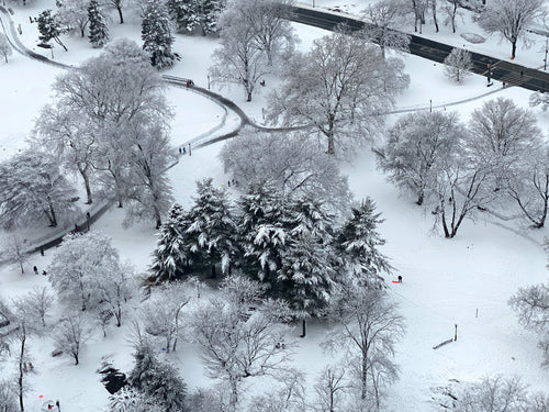 Birdseye View of Central Park in the Snow - February 7th, 2021