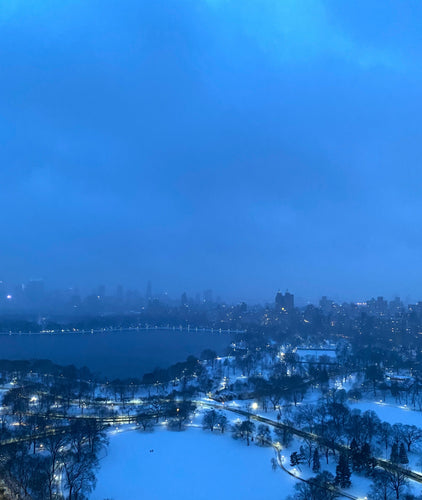 Blue Hour Under a Veil of Snow - February 2nd, 2021