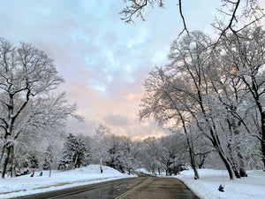 Central Park's East Drive - February 7th, 2021