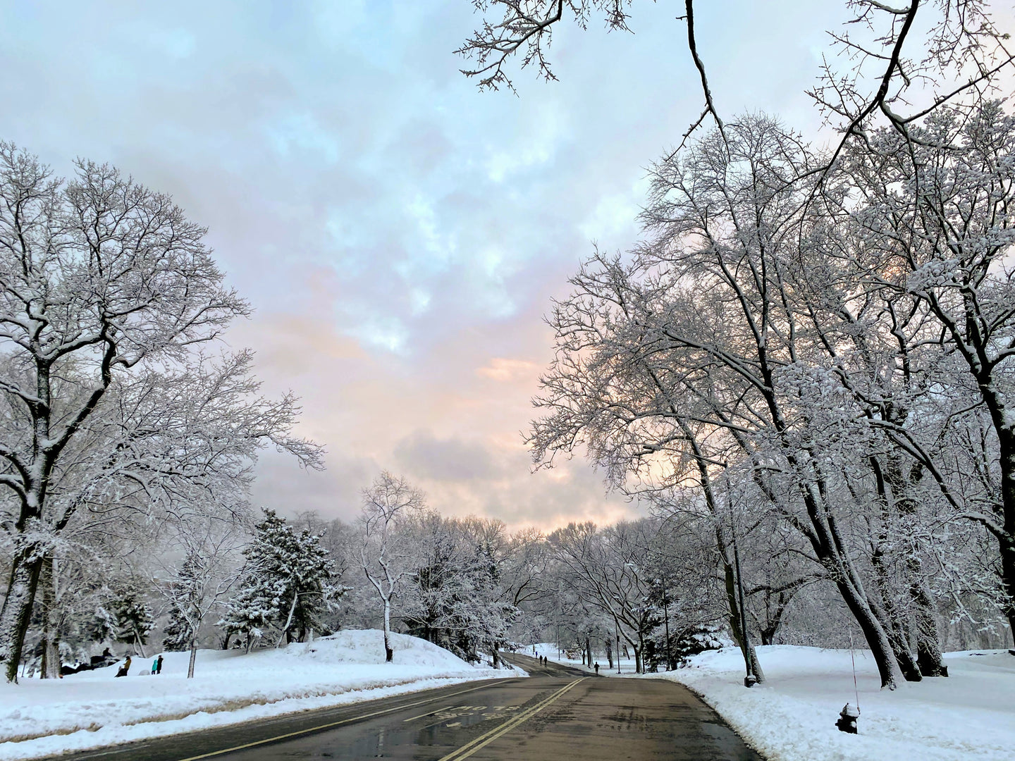 Central Park's East Drive - February 7th, 2021