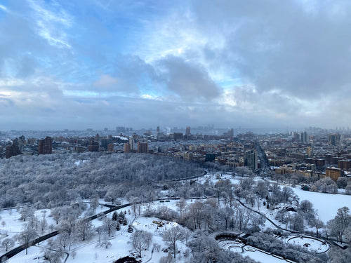 Central Park North in the Snow - February 7th, 2021