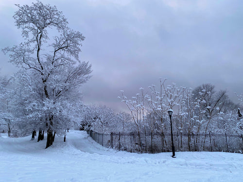 Snowy Path to the Reservoir - February 7th, 2021