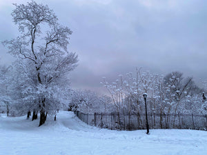 Snowy Path to the Reservoir - February 7th, 2021