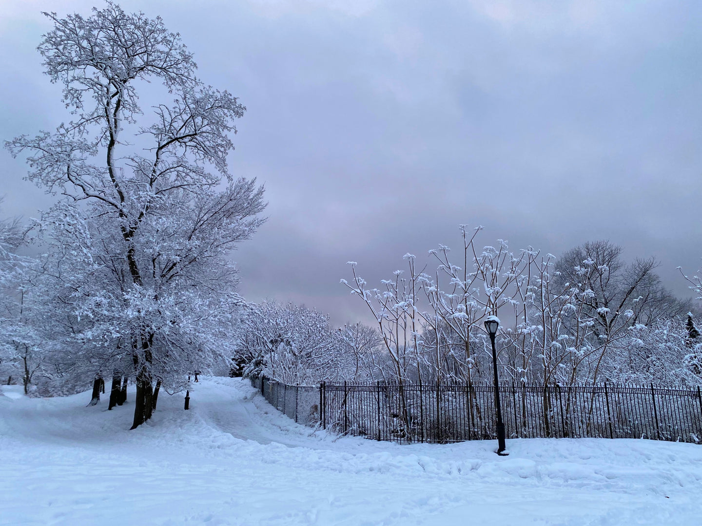 Snowy Path to the Reservoir - February 7th, 2021