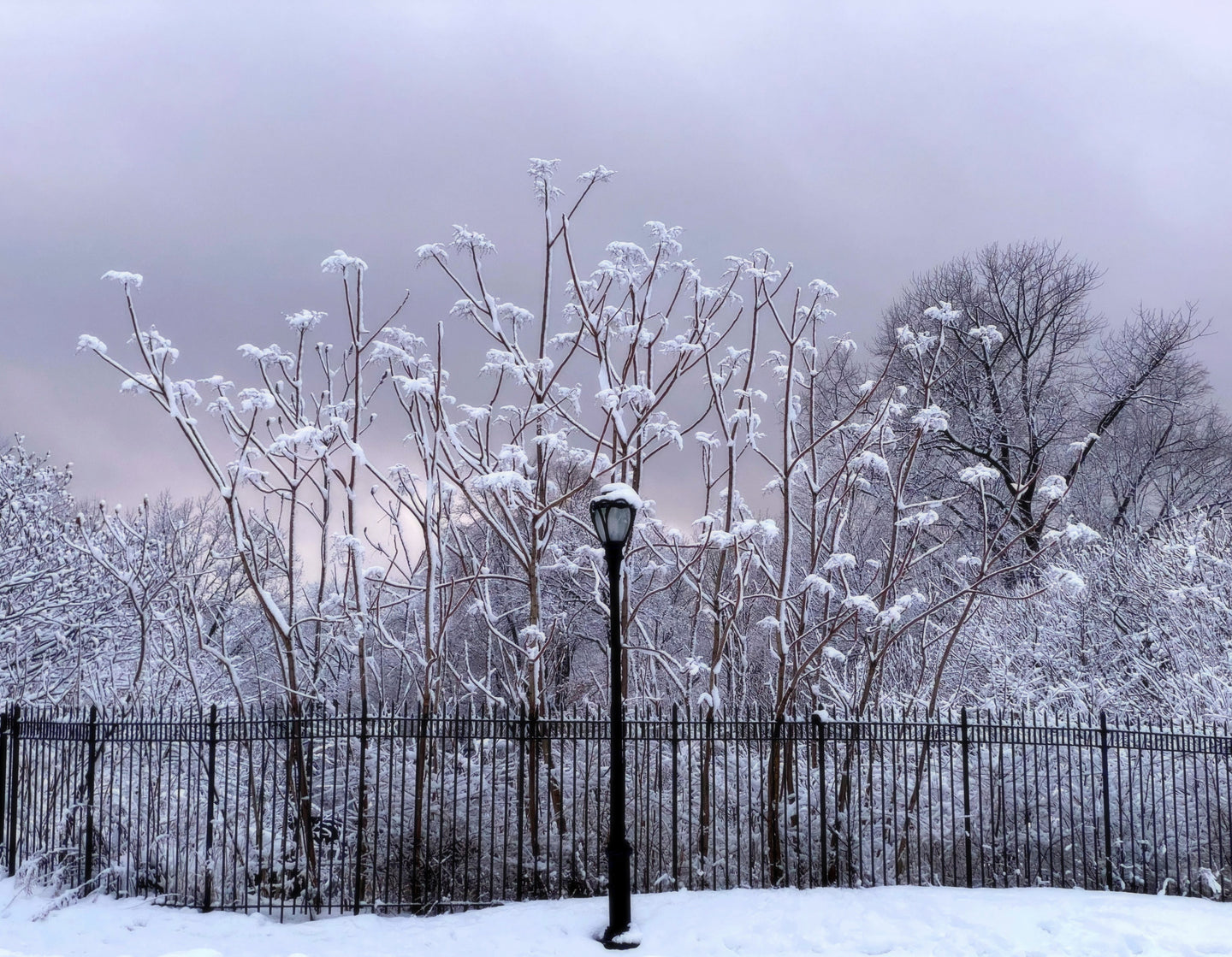 Lamp post in the Snow - February 7th, 2021