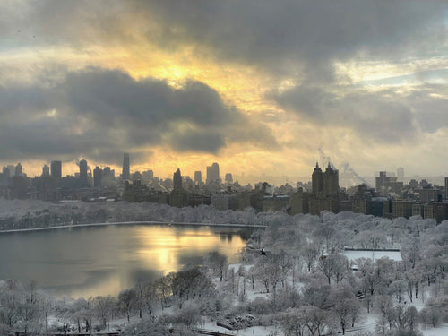 Snowfall Over Central Park - February 7th, 2021